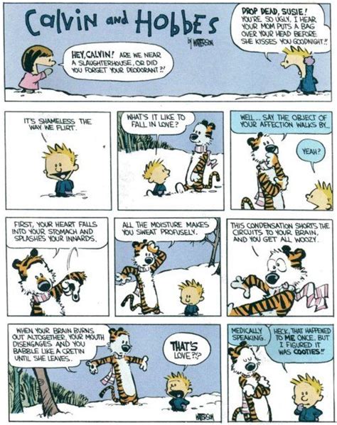 Little G | Calvin and hobbes, Calvin and hobbes comics, Fun comics