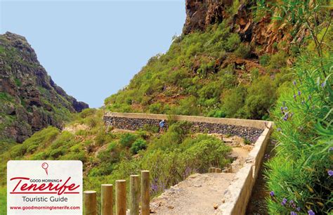 Barranco del Infierno, Adeje, Tenerife. Excursions Dragon Tree - Tenerife