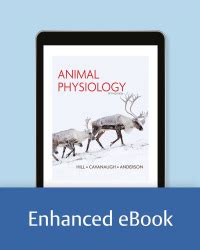 Animal Physiology 5th edition | 9780197552438, 9780197553619 | VitalSource