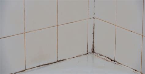 Mold in Shower Caulk? Try These Easy Fixes