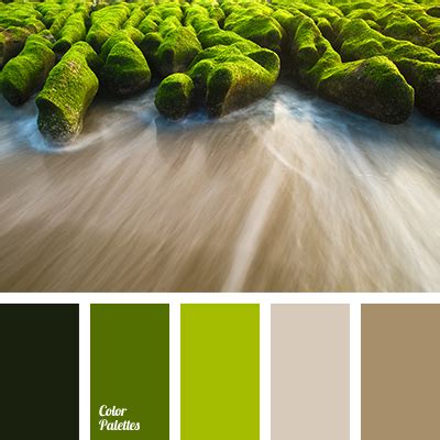 Color Palette #1632 | Color palette, Color balance, Color harmony