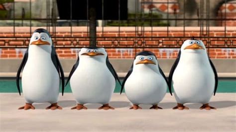 The Penguins of Madagascar: New to the Zoo (2010) — The Movie Database (TMDB)