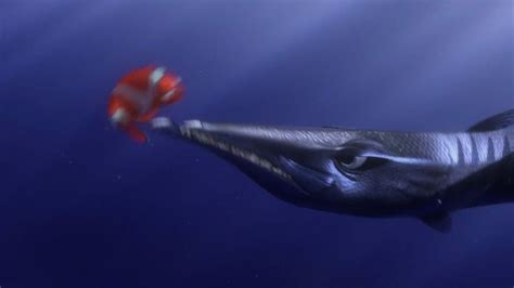 Image - Finding-nemo-disneyscreencaps com-290.jpg | Wickedpedia ...