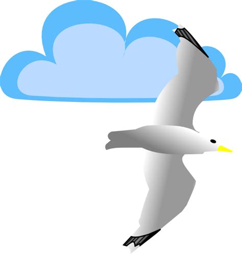 Seagull Outline - ClipArt Best