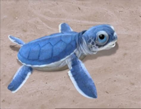 Baby Sea Turtle | Wonder Pets! Wiki | Fandom