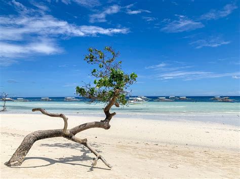 13 Best Diving Spots In The Philippines