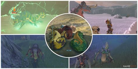 Breath of the Wild: Where to Farm Lizalfos Tails