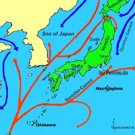 (PDF) Harmful Algal Blooms Associated with Volcanic Eruptions in ...