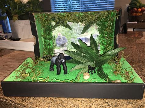 Gorilla Habitat Diorama | Habitats projects, Jungle crafts, Habitat ...