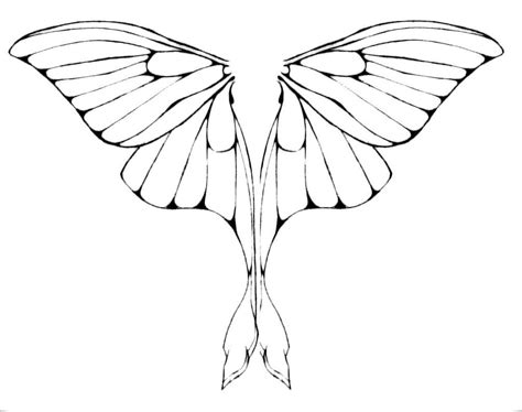 Luna Moth Wings by junkyardxxxdog on DeviantArt