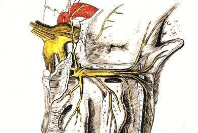 OnabotulinumtoxinA Injection of Sphenopalatine Ganglion May Not Improve Trigeminal Neuralgia ...