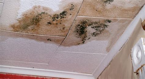 Common Causes of Water Stains on Ceiling & How to Fix Them - Homenish