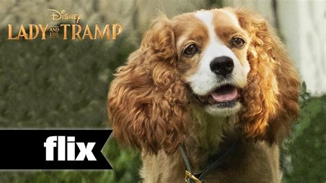 Lady & The Tramp: Meet The Dogs (2019) - YouTube