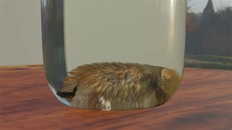 RAT 3D MODEL FOR DOWNLOAD