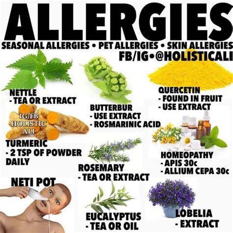 Pin by Edith on Health/recipies | Herbs for allergies, Herbs for health, Medical herbs