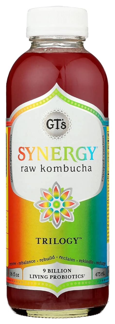 Buy GT's Kombucha, Trilogy 16 Fl Oz Online at Lowest Price in India ...