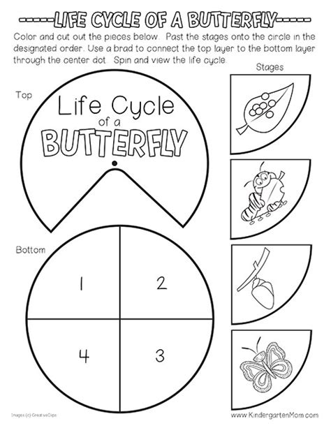 Free Butterfly Life Cycle Printables. This set includes a colorful life cycle chart, life cycl ...