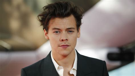 Harry Styles Wiki, Bio, Age, Net Worth, and Other Facts - Facts Five