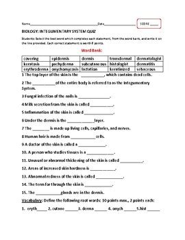 INTEGUMENTARY SYSTEM QUIZ by HOUSE OF KNOWLEDGE AND KINDNESS | TpT