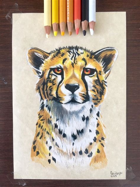 Drew one of my favorite animals with prismacolors! Hope you like it! : r/drawing