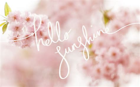 Hello Sunshine Wallpapers - Wallpaper Cave