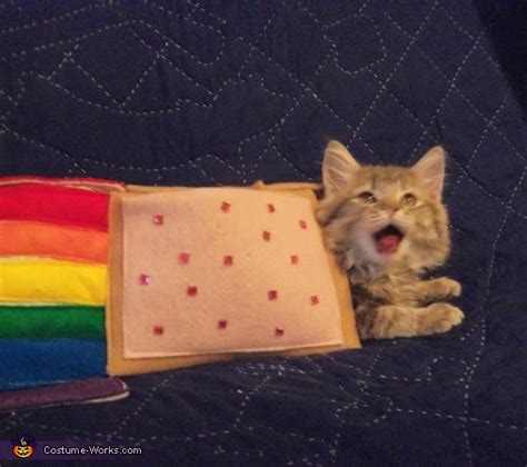 Nyan Cat - Costume for Cats