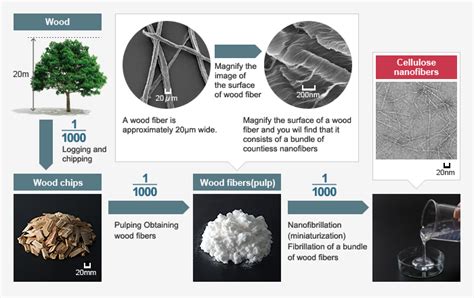 Cellulose nanofiber manufacturing technology and application ...