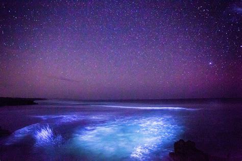 Stars And Ocean, Australia by Robert Lang Photography