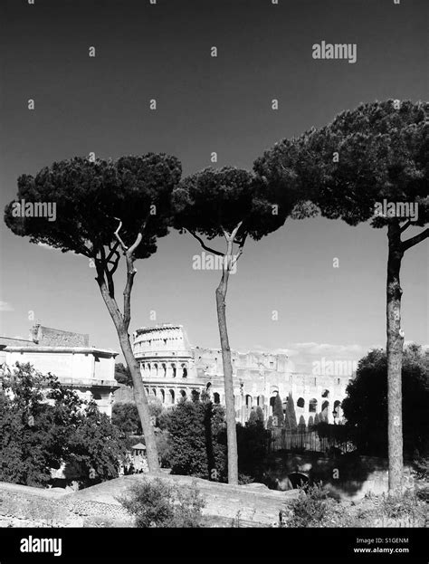 Rome the colosseum Black and White Stock Photos & Images - Alamy