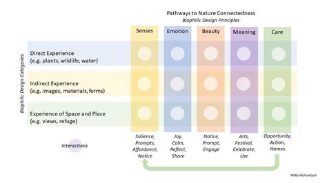 Nature Connectedness and Biophilic Design | Finding Nature