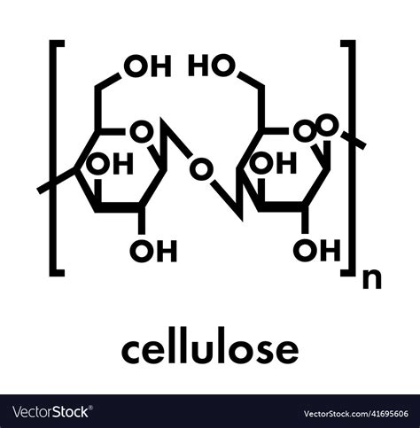 Cellulose chemical structure main component Vector Image