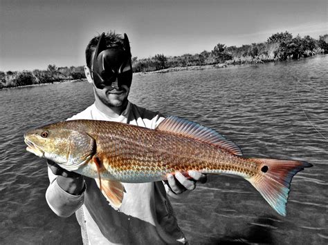 Best Fly Fishing Charters in Homosassa and Tampa, Florida