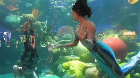 Aquarium Mermaids Fish Feeding Silverton Casino - YouTube