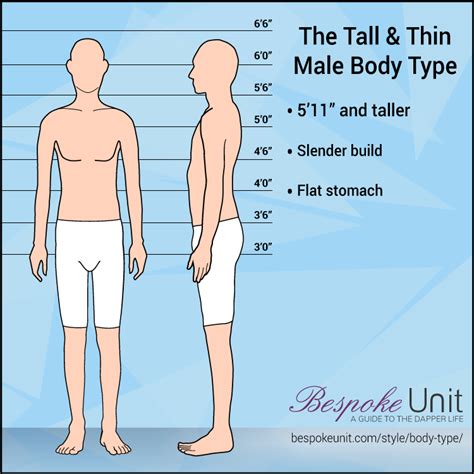 Tall & Thin Male Body Type: A Guide To Buying Clothes