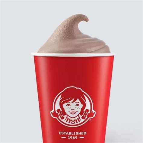 Wendy's Small Chocolate Frosty Nutrition Facts