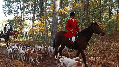 Theresa May wants to bring back fox hunting