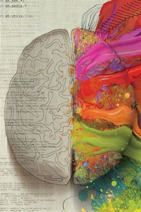 Human Brain Anatomy Brain Wallpaper 4K The map data is available for ...