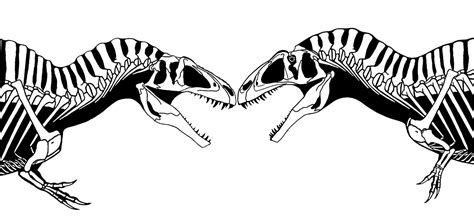 Skeletal Drawing: The evolution of (my) Acrocanthosaurus