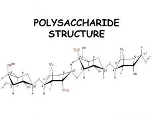 Polysaccharides| Interactive Health