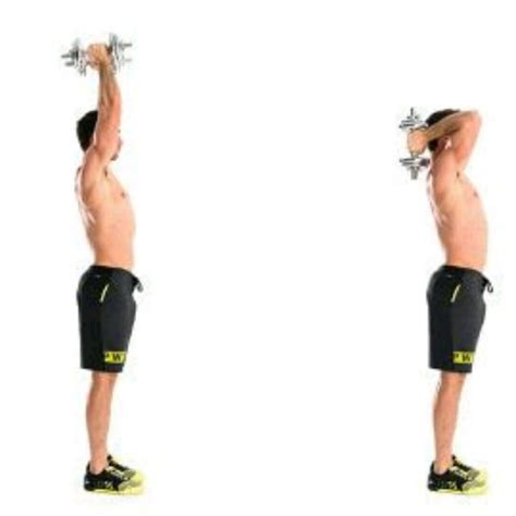 Overhead Tricep Press by Marcos Rodriguez - Exercise How-to - Skimble