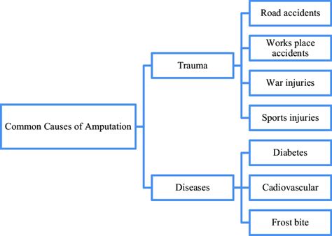 Common causes of amputation. | Download Scientific Diagram