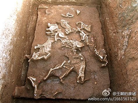 China: Ancient Tomb of First Emperor Qin Shi Huang's Grandmother Discovered in Xi'an