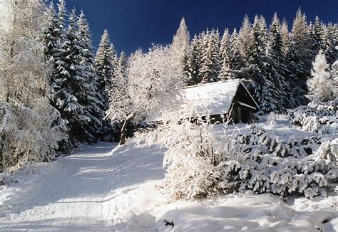 zakopane. winter | Закопане, Пейзажи, Зима