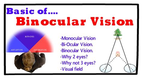 Basics of Binocular vision - YouTube