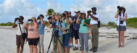 Birdwatching Tours: Grand Bahama Island & Vacations