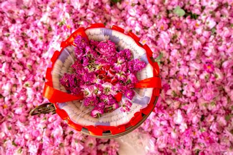 Qué hacer en el Valle de las Rosas Marruecos- donde es valle de las rosas