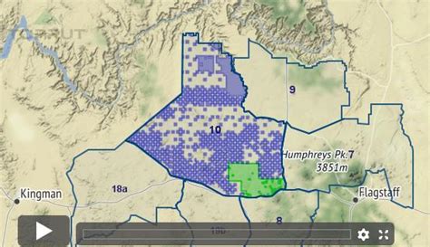 Arizona Elk - Unit 10 - Draw Odds, Tag Information and More