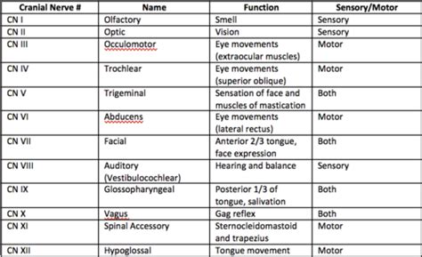 Chapter 47 Neurological Function, Assessment, and Therapeutic Measures Flashcards | Quizlet