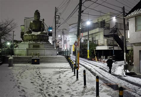 Heavy snowfall in Tokyo, central Japan disrupts transport, power - EFE Noticias