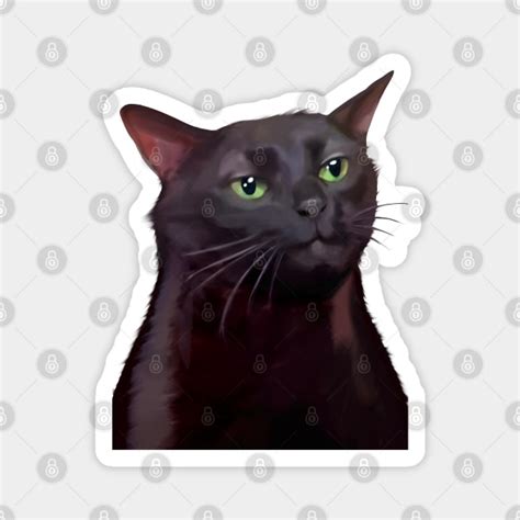 Black cat zoning out meme - Meme Cat - Magnet | TeePublic